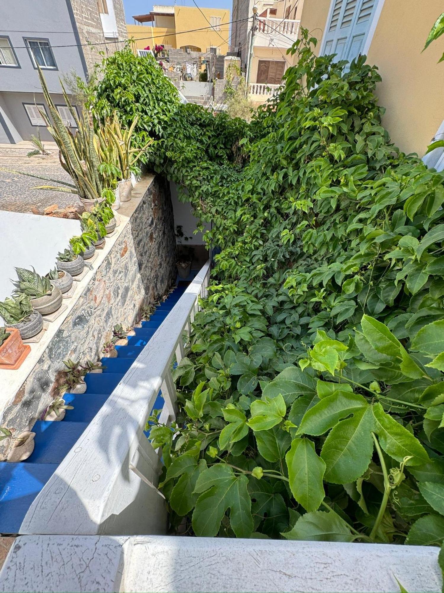 B&B Mi Ma Bo, Sal Rei, Boa Vista, Cape Verde, Free Wi-Fi Exterior photo