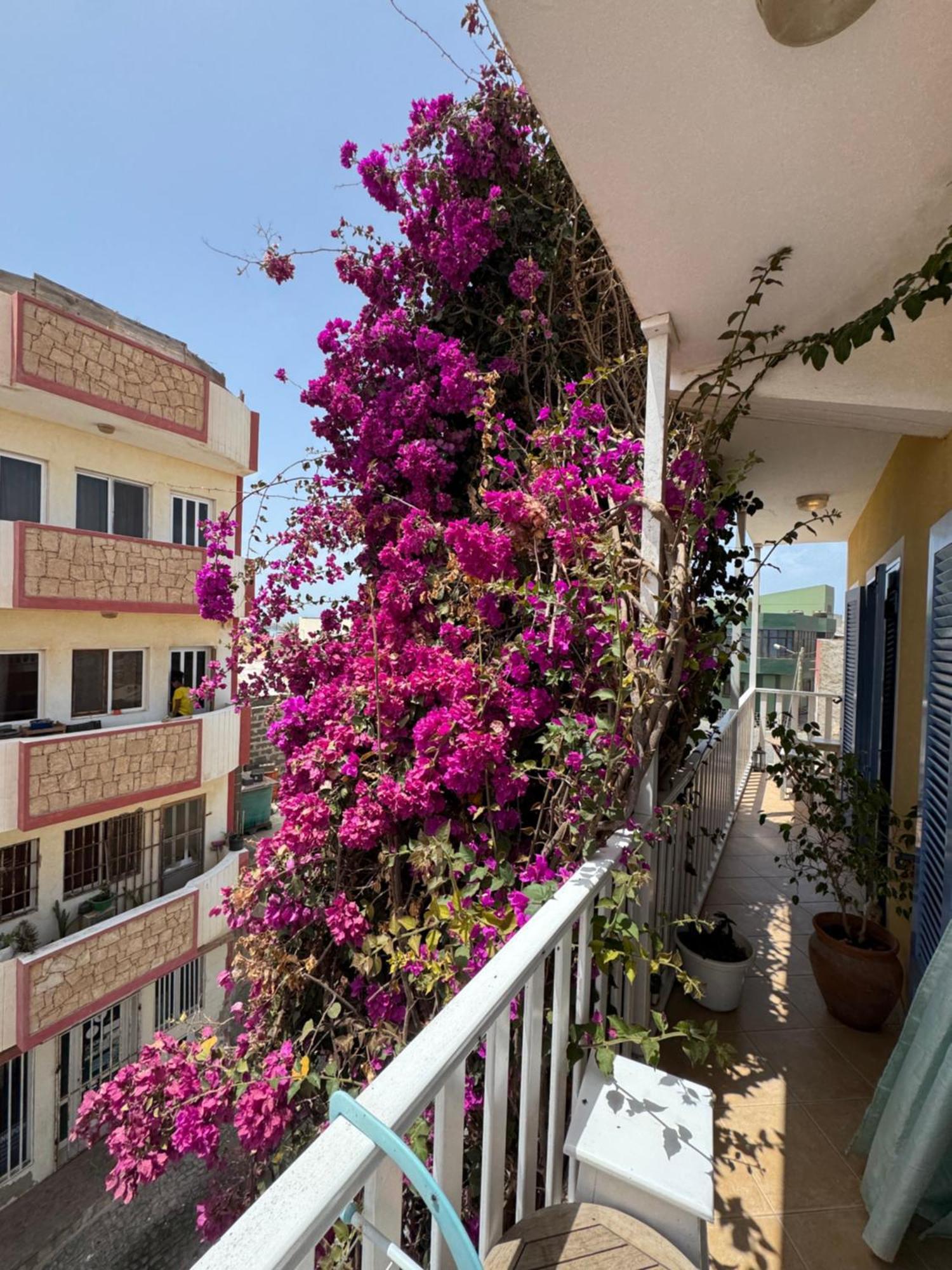B&B Mi Ma Bo, Sal Rei, Boa Vista, Cape Verde, Free Wi-Fi Exterior photo